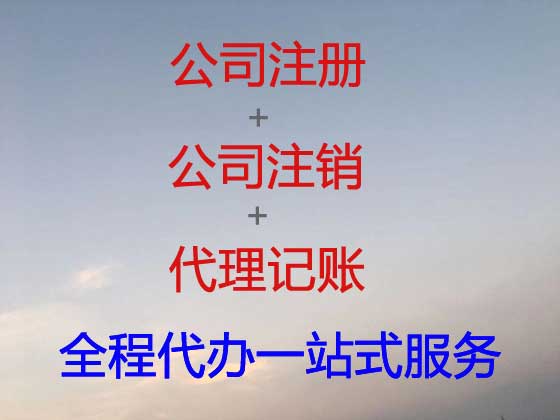 林芝公司个体工商户注册